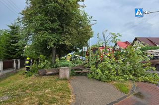 Strażacy z woj. lubelskiego interweniują przy usuwaniu skutków gwałtownych burz