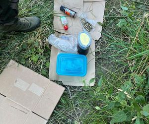 Gigantyczna plantacja konopi zlikwidowana. Policja zabezpieczyła marihuanę, kokainę, broń i amunicję