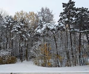 Atak zimy w Polsce. Zasypane miasta na Waszych zdjęciach