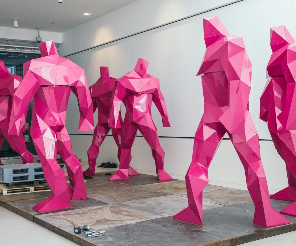 PINK BOT Pawła Orłowskiego w Muzeum Śląskim