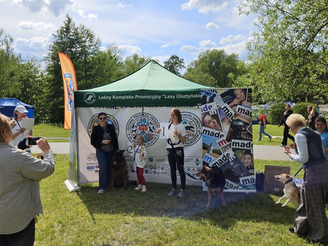 Festiwal Przyjaciół Zwierząt w Olsztynie. Park Centralny opanowały radosne pieski