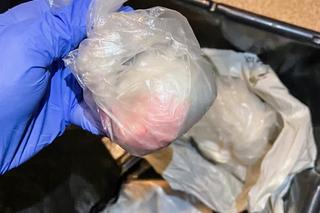 Jastrzębie-Zdrój: Kolejne uderzenie w gang pseudokibiców. Jest już 12 zatrzymanych