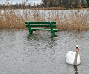 Podtopienia w Szczecinie