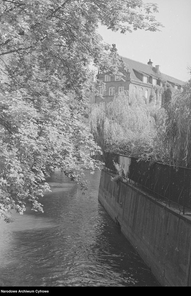 Gdańsk na starych fotografiach. Zobaczcie, jak zmieniło się miasto!