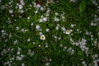 Potężne burze nad Podkarpaciem. Grad, wicher i potoki deszczu, jak w środku lata!