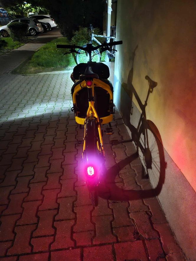 Nasz test rowerów cargo
