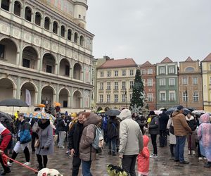 Golden Retriever WOŚP w Poznaniu