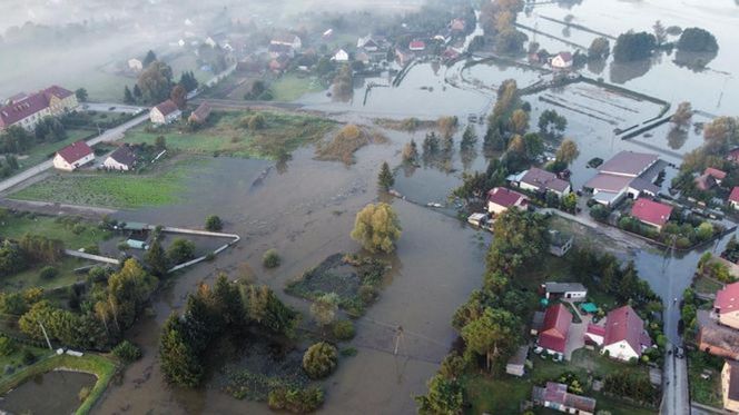 Powódź w Lubuskiem. Odra zalała ulice w Osiecznicy.