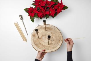 Wieniec adwentowy z poinsecjami