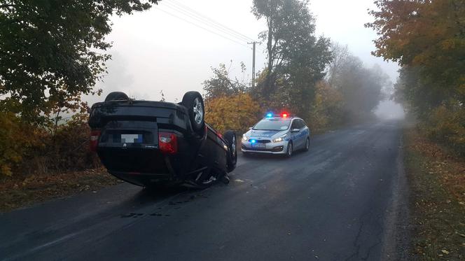 Dachowanie samochodu w Żabieńcu. Kierowca chciał ominąć bażanta i wypadł z drogi [ZDJĘCIA]