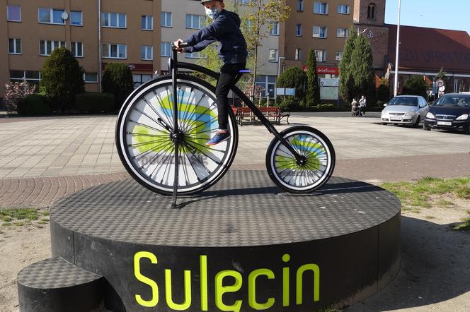 Sulęcin