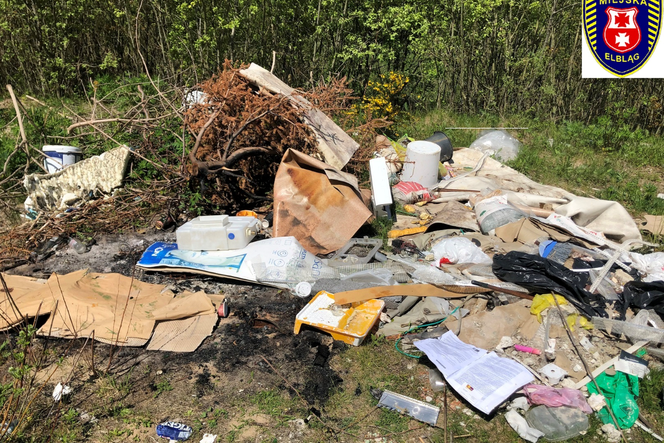 Dzikie wysypisko śmieci w Elblągu