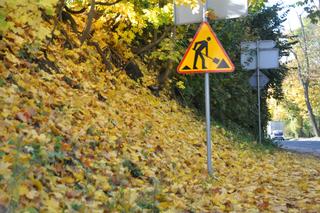 Złota polska jesień w Kielcach. 30 października 2023