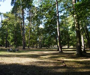 Park Konstytucji 3 Maja