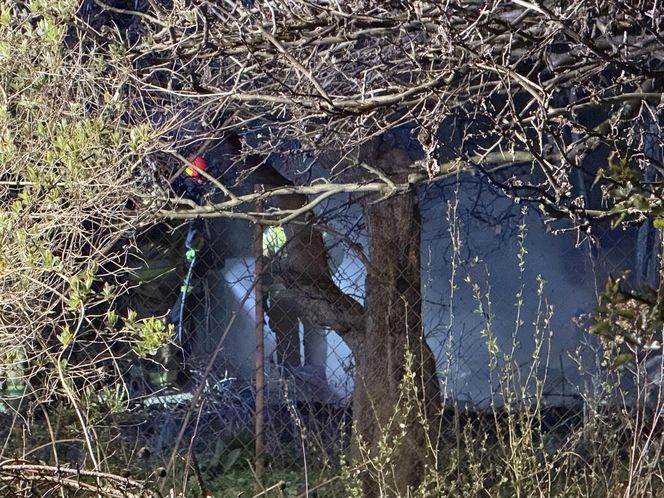 Tragedia na terenie ogródków działkowych. Altanka stanęła w ogniu. W srodku znaleźli zwęglone ciało
