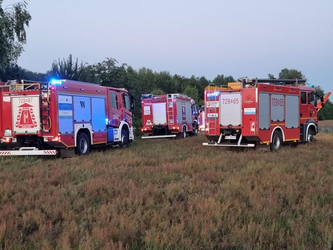 Motolotnia runęła na ziemię. Pilot w stanie ciężkim