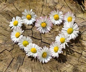 Życzenia na DZIEŃ MATKI 2025. Wyjątkowe i wzruszające rymowanki z okazji święta mam! [26.05.2025]