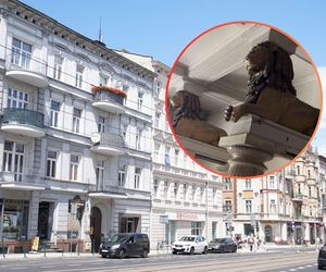 W kamienicy na Łazarzu odkryto rzeźby lwów