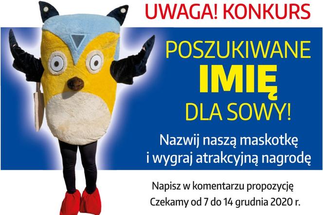 Zamość: Książnica Zamojska ogłosiła konkurs na imię dla swojej maskotki