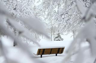 Nawałnica śniegu w Kanadzie! Ponad 120 tys. odbiorców bez prądu w Quebecu