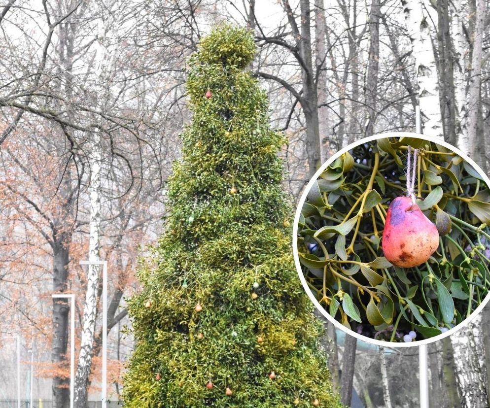 Nietypowe drzewko świąteczne na Śląsku ZDJĘCIA