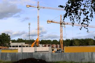 Warszawa. Na terenie budowy liceum wyrósł rdestowiec. W jaki sposób dzielnica radzi sobie z tą inwazyjną rośliną?