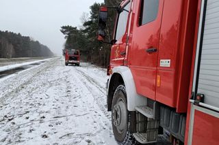 Strażacy uratowali jelenia, pod którym załamał się lód