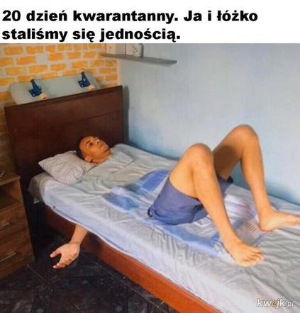 Memy o kwarantannie