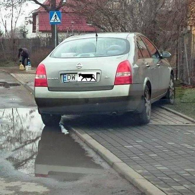 Tak potrafią parkować we Wrocławiu