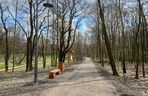 Rów Kalny w Sosnowcu znajduje się w Parku Tysiąclecia