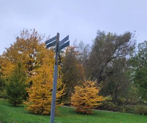 To najpiękniejszy park miejski w Olsztynie według AI. Zajmuje niemal 13 hektarów!