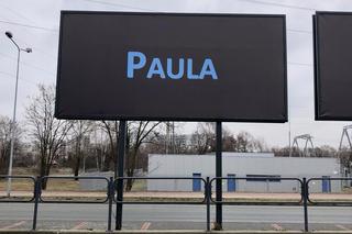 Katowice: Wynajął trzy bilboardy na Bażantowie, by wyznać miłość Pauli!