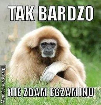 Egzamin ósmoklasisty 2024 memy! Padniesz ze śmiechu, gdy to zobaczysz [GALERIA]