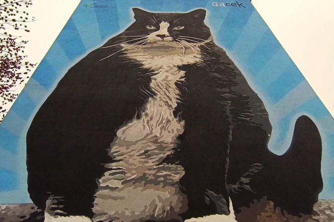 Mural z kotem Gackiem już odsłonięty