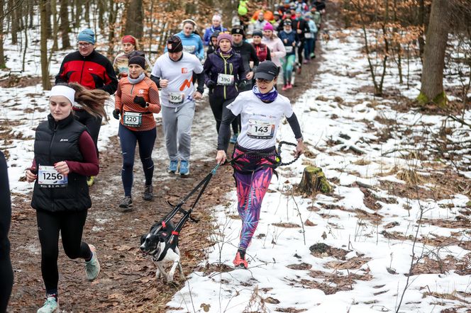 W pięknej scenerii pokonali 5-kilometrową trasę. Za nami kolejny bieg z cyklu City Trail w Katowicach 