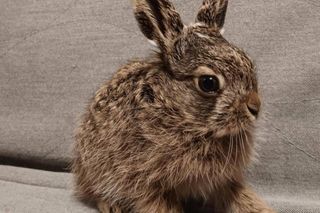 Wiele osób ruszyło z pomocą 