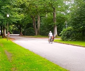 Ohlsdorfer Friedhof w Hamburgu