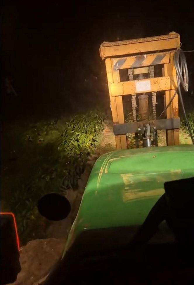 Rolnik rozdają paprykę za darmo! Ceny na skupie to dramat