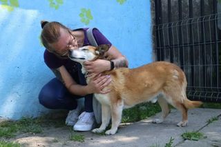 10 lat w schronisku. Pies Leon w końcu znalazł dom, ale setki zwierząt wciąż marzą o rodzinie