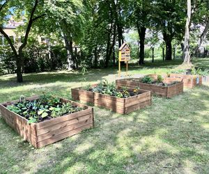 Na uczelni są nie tylko ananasy, ale również ogórki, dynie i mięta. Na kampusie UAM powstał prawdziwy ogród