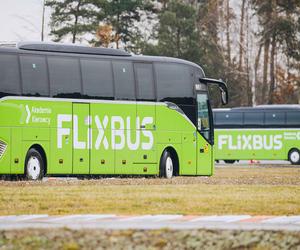 Kierowca FlixBusa wyprzedzał na czołówkę. Został natychmiast zwolniony. Zero tolerancji