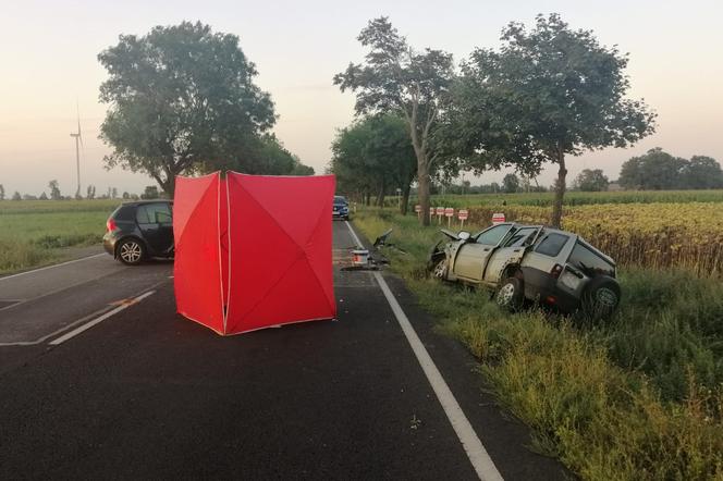Makabryczny wypadek. Nie żyją dwie osoby! Koszmar w Wielkopolsce