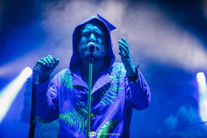 Last Minute Summer Festival 2020. Zobacz zdjęcia z koncertów [GALERIA]
