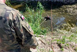 Policja została wezwana do niewybuchu z czasów II wojny światowej