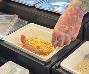 Węże, pająki i dreszczyk emocji w Bydgoszczy! Dragon Expo zachwyciło odwiedzających