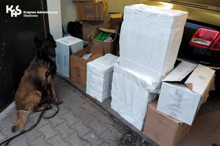 Niezawodna Czira w akcji. Czworonożny celnik ujawnił kontrabandę