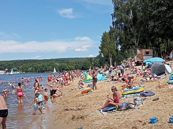 Świętokrzyska Madera w Cedzynie oblegana w czasie wakacji