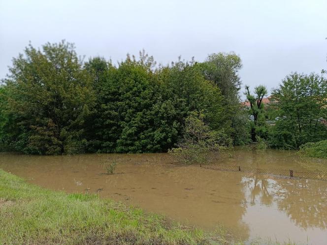 Ząbkowice Śląskie (woj. dolnośląskie)