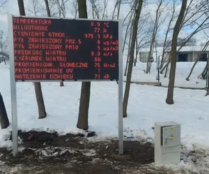 Dwie elektrownie, wiatromierz i nie tylko. To jedyna szkoła w Krakowie, która ma ogródek badawczo-ekologiczny