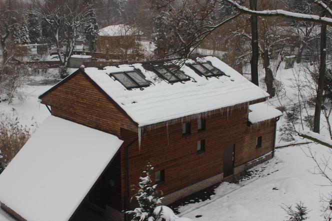 "Elka" w Parku Śląskim. Widok z góry